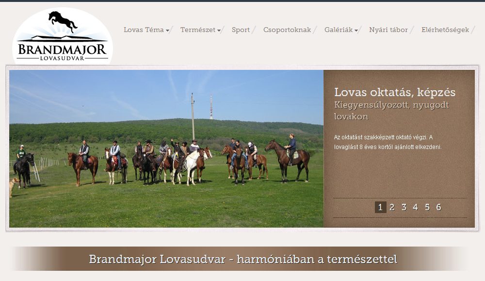tigaman webdesign sopron