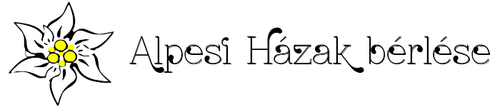 Logo készítés