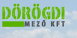 Logo készítés