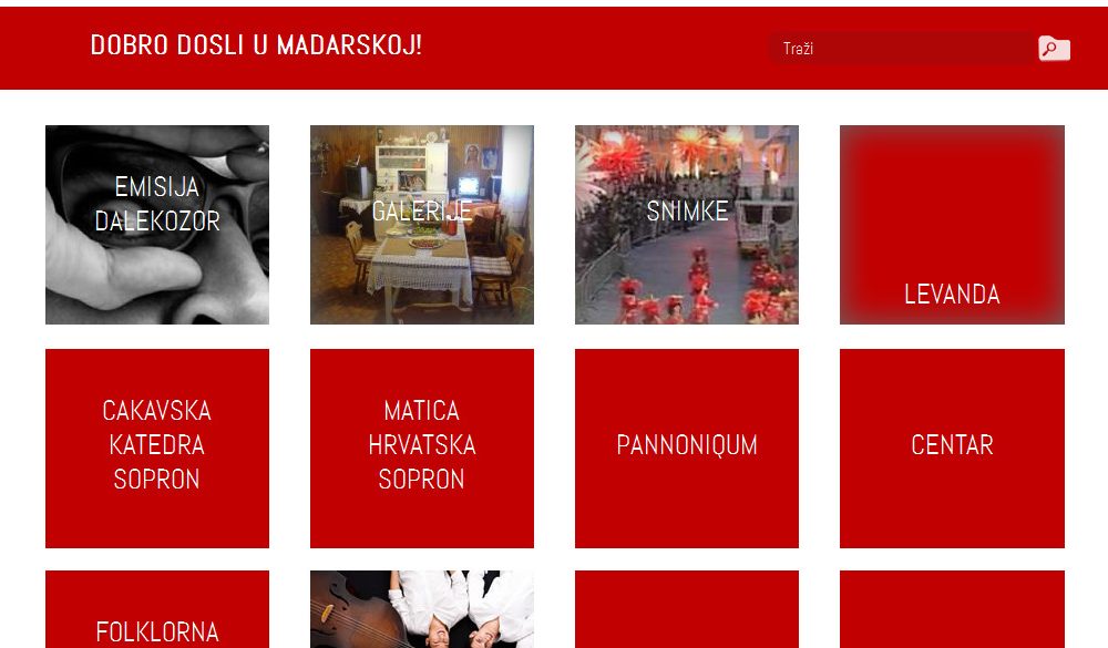 tigaman webdesign sopron – wordpress, AI, online marketing szakértő