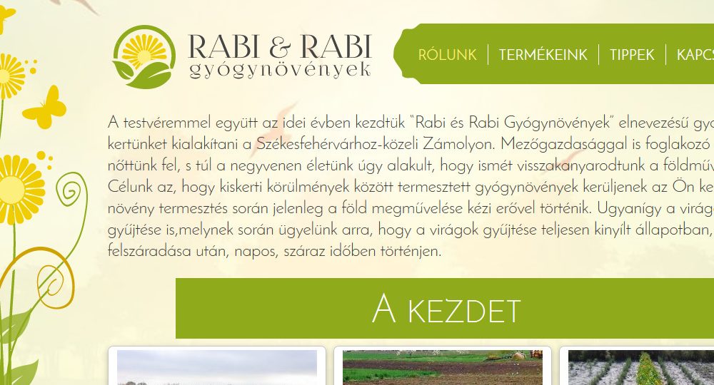 tigaman webdesign sopron