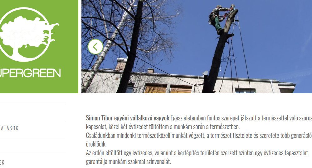 tigaman webdesign sopron