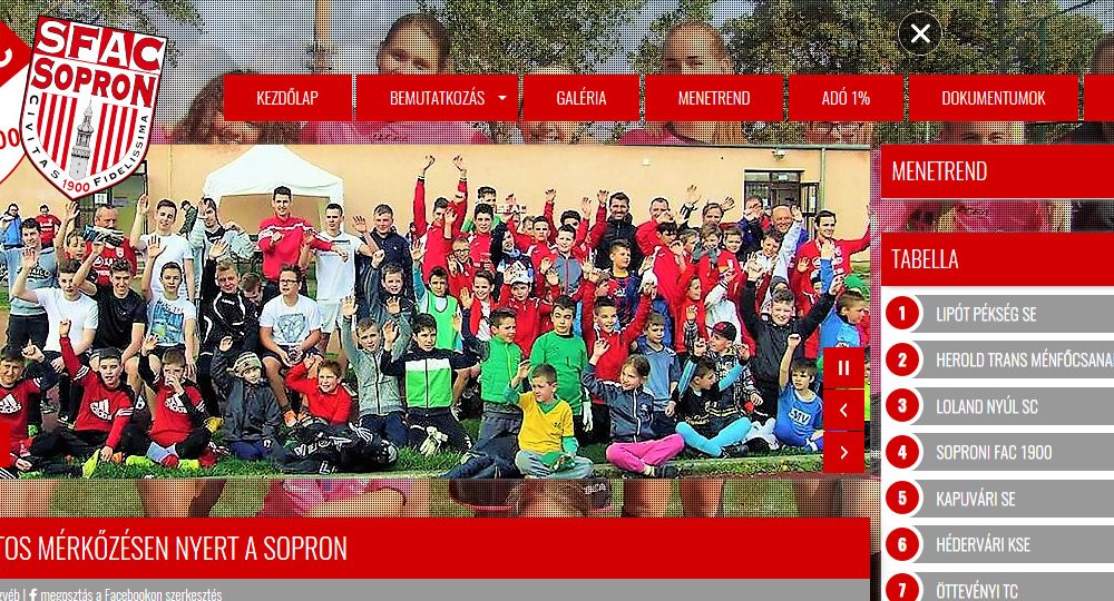 tigaman webdesign sopron – wordpress, AI, online marketing szakértő