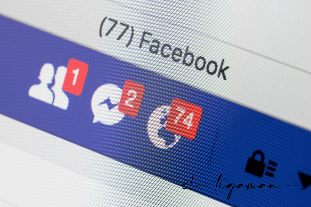 Facebook meta tag hozzáadása a wordpress fejrészéhez – kód részlet vagy wordpress plugin