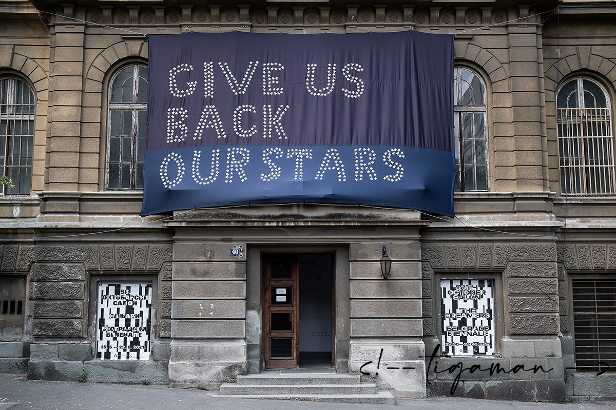 tigaman webdesign sopron