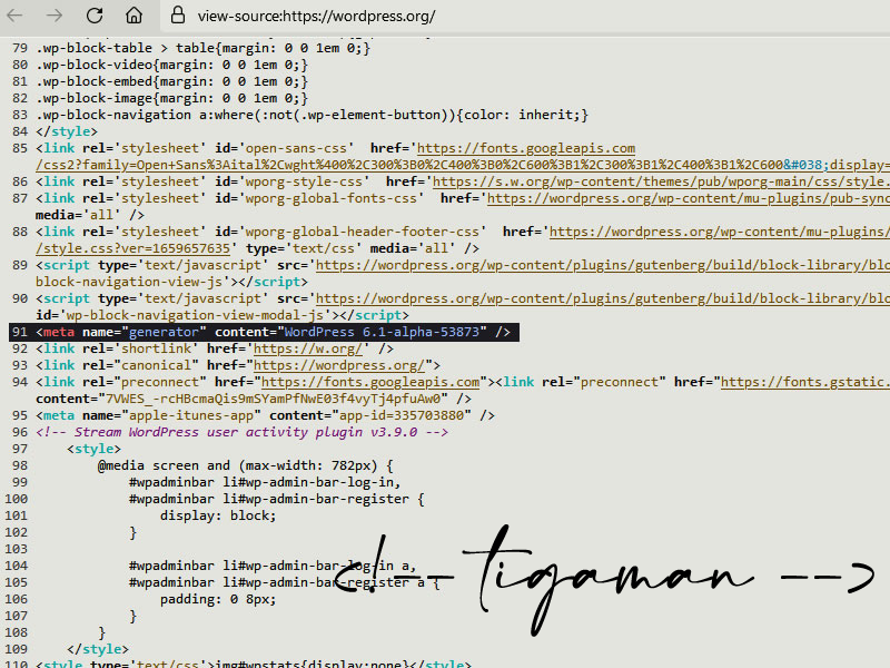 tigaman webdesign sopron – wordpress, AI, online marketing szakértő