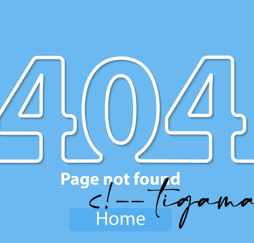 Wordpress 404 átirányítás Kód