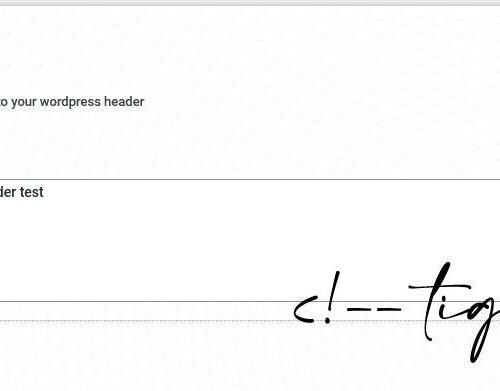 Egyéni Kód Hozzáadása Wordpress Headhez – Wordpress Plugin