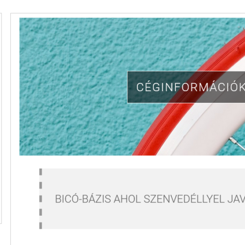 Bicó Bázis