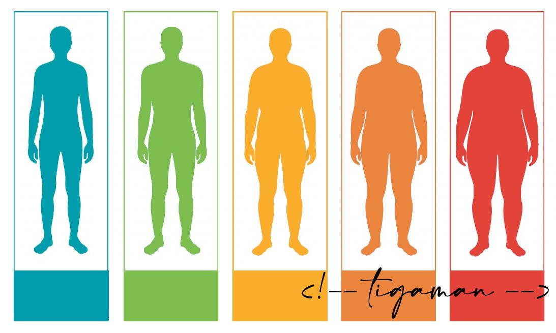 tigaman webdesign sopron – wordpress, AI, online marketing szakértő