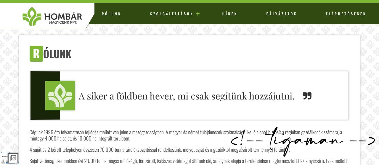 tigaman webdesign sopron