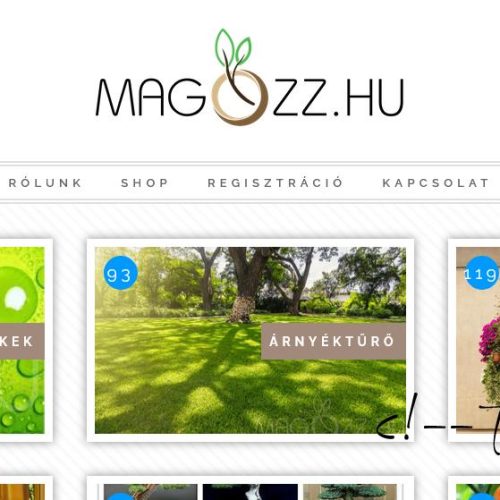 Magozz webshop