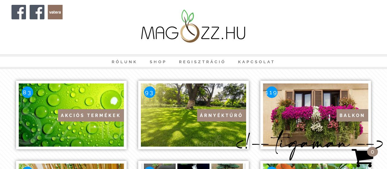tigaman webdesign sopron